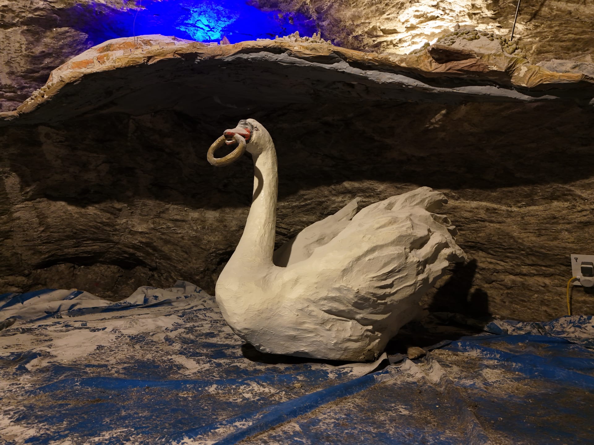 schwan auf dem salzsee